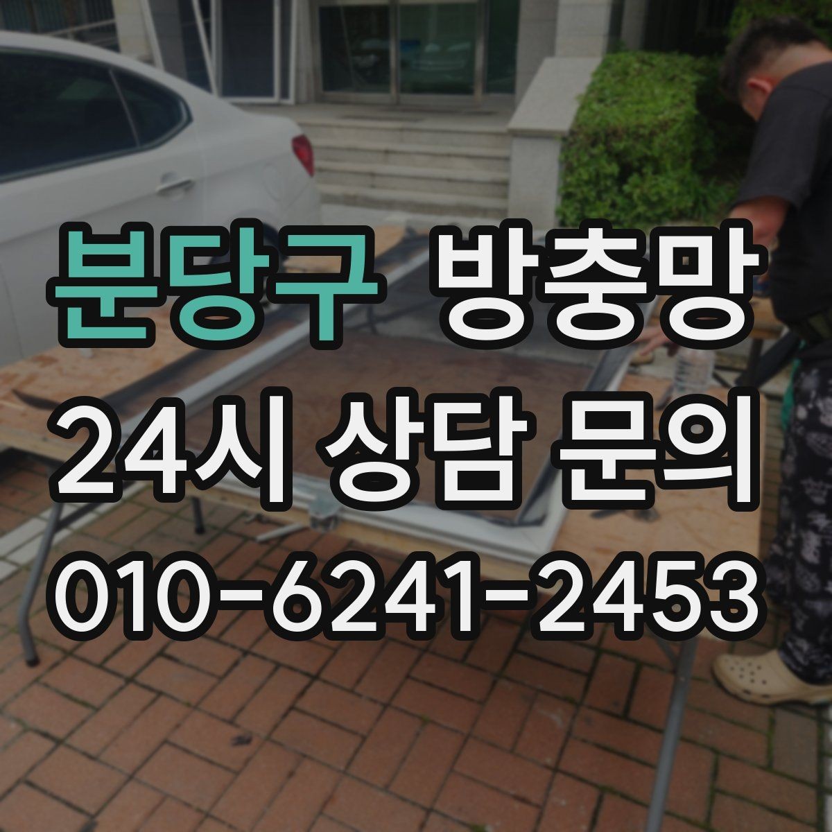 분당구 방충망 냄새 빼려 환기하는데 벌레가 들어온다면