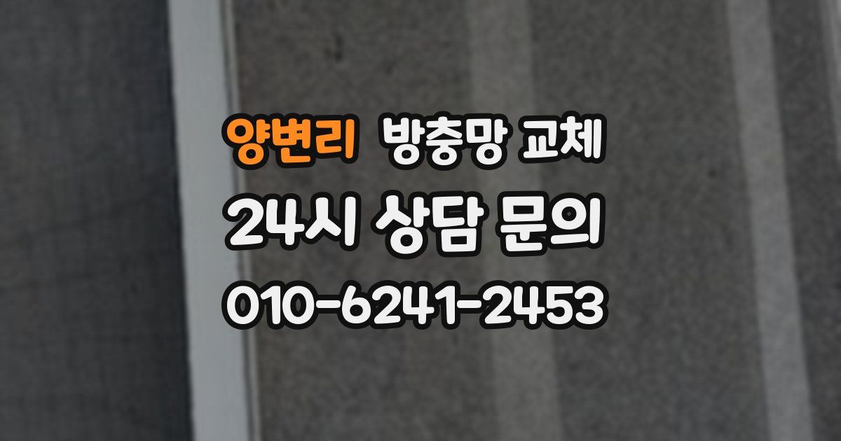 양변리 방충망 교체