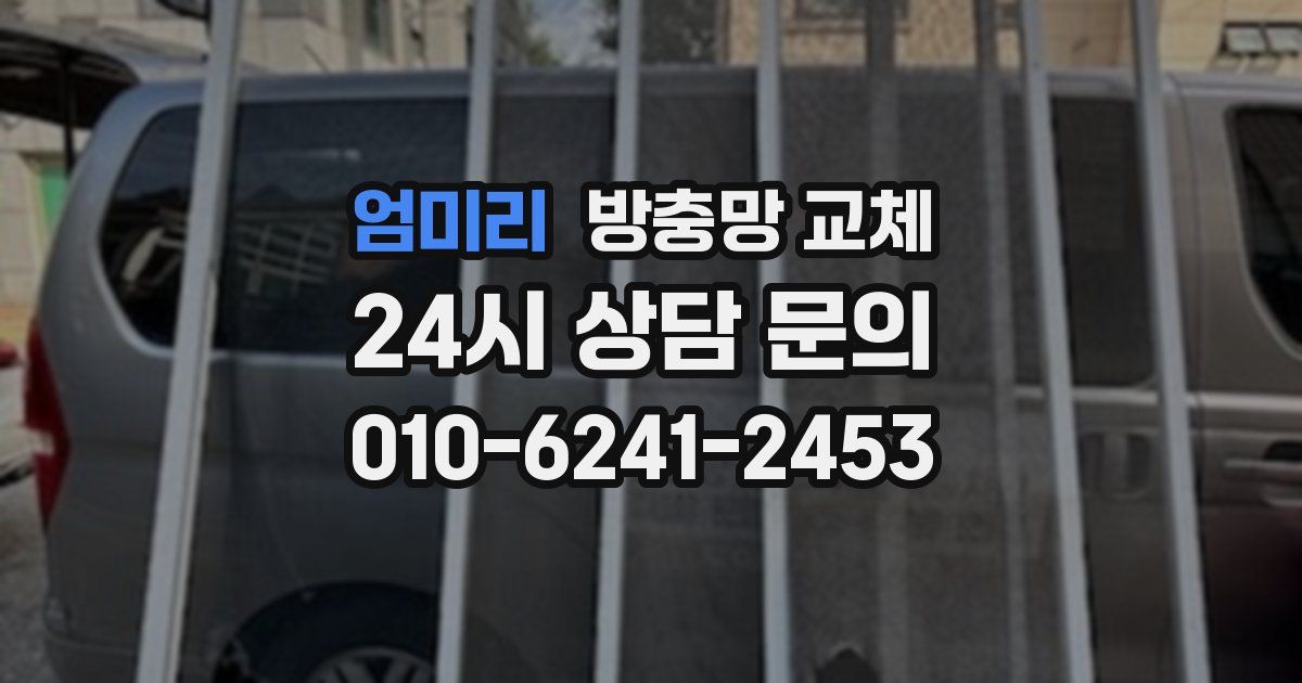 엄미리 방충망 교체