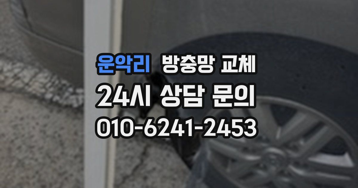운악리 방충망 교체