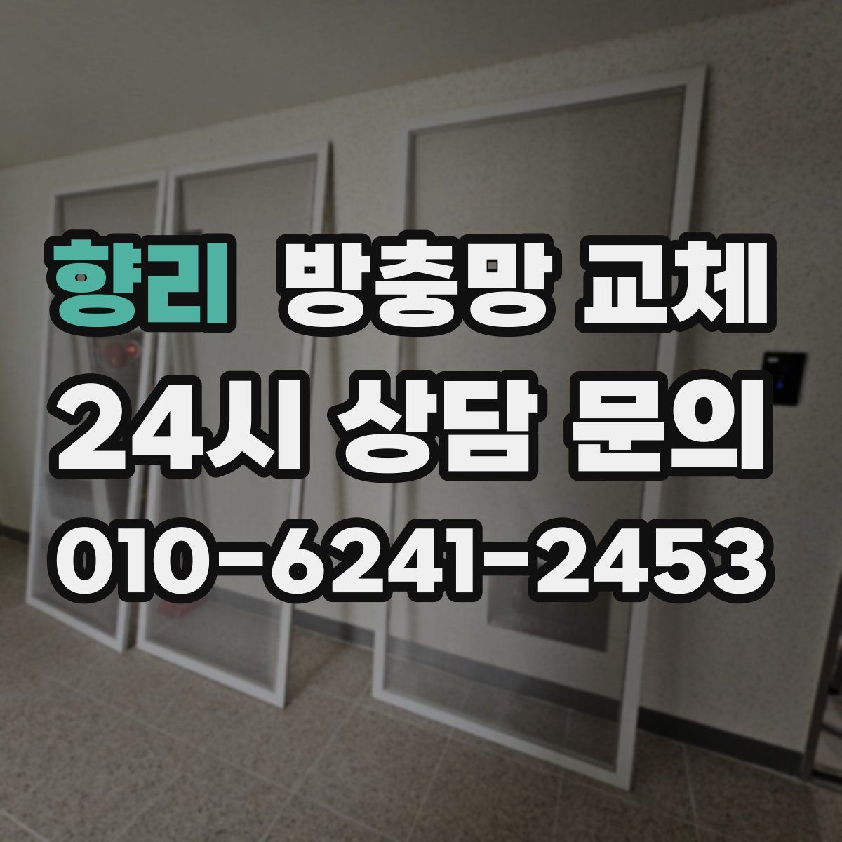 향리 방충망 교체