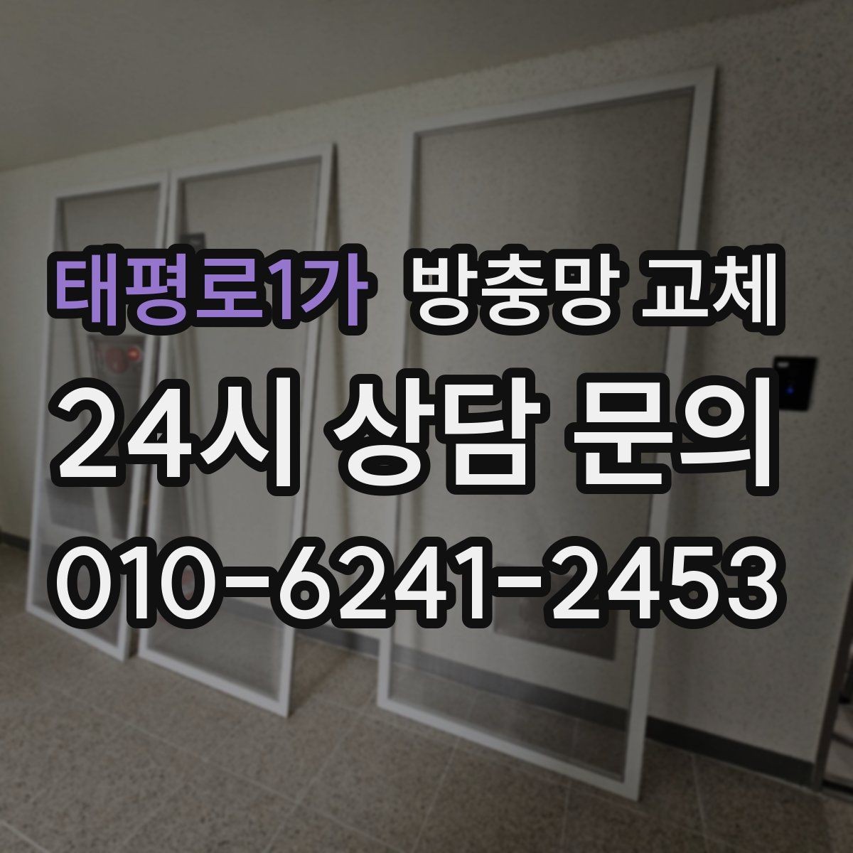 태평로1가 방충망 교체 고층도 벌레 유입이 되는 이유와 대처