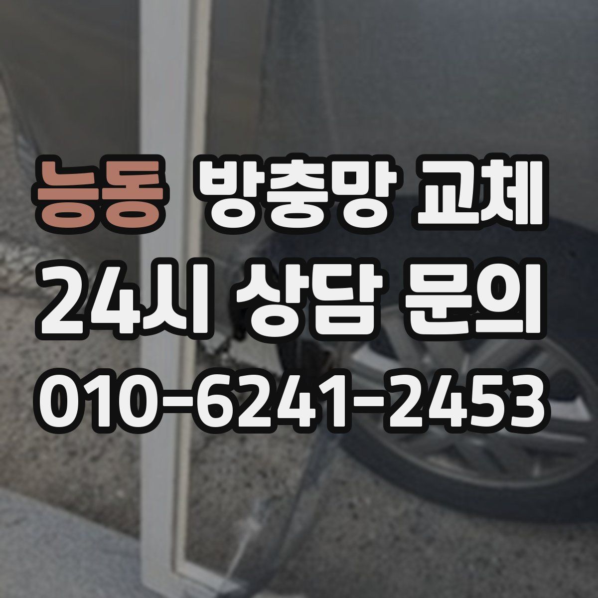 능동 방충망 교체