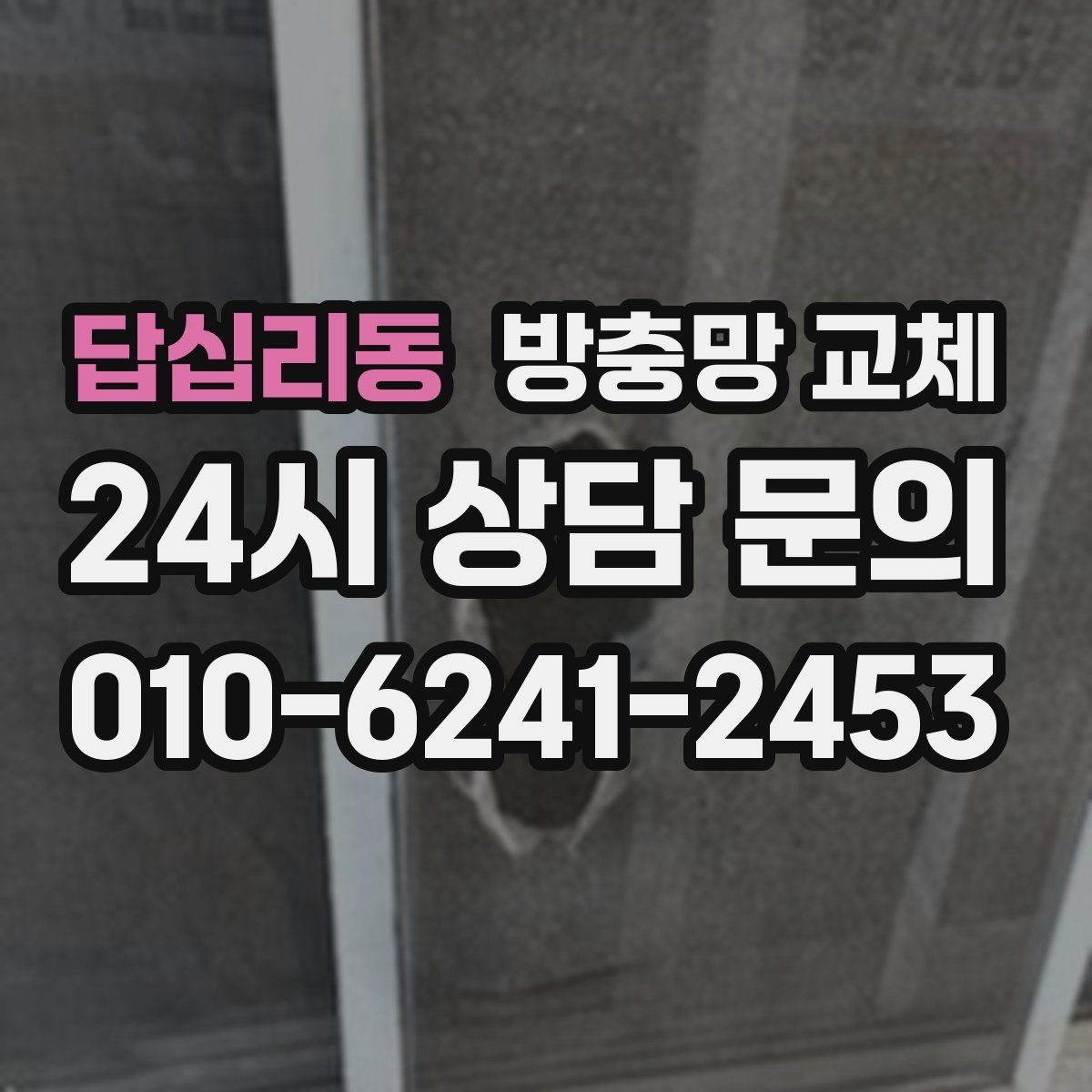 답십리동 방충망 교체 미세벌레 때문에 눈이 더 촘촘해야 할 때