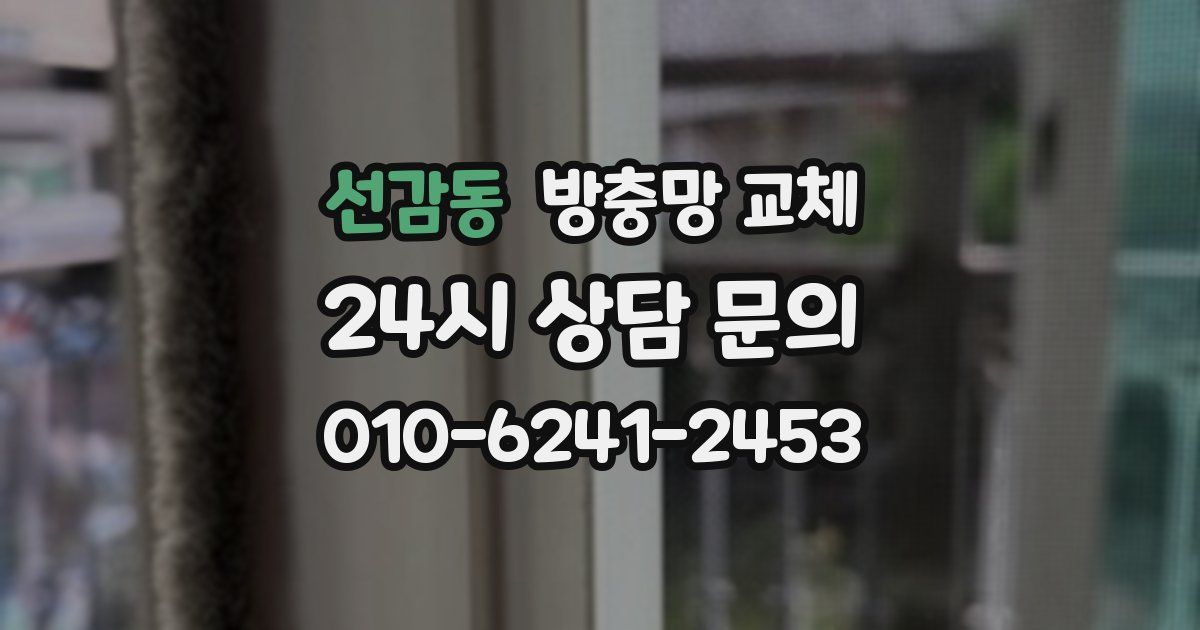 선감동 방충망 교체