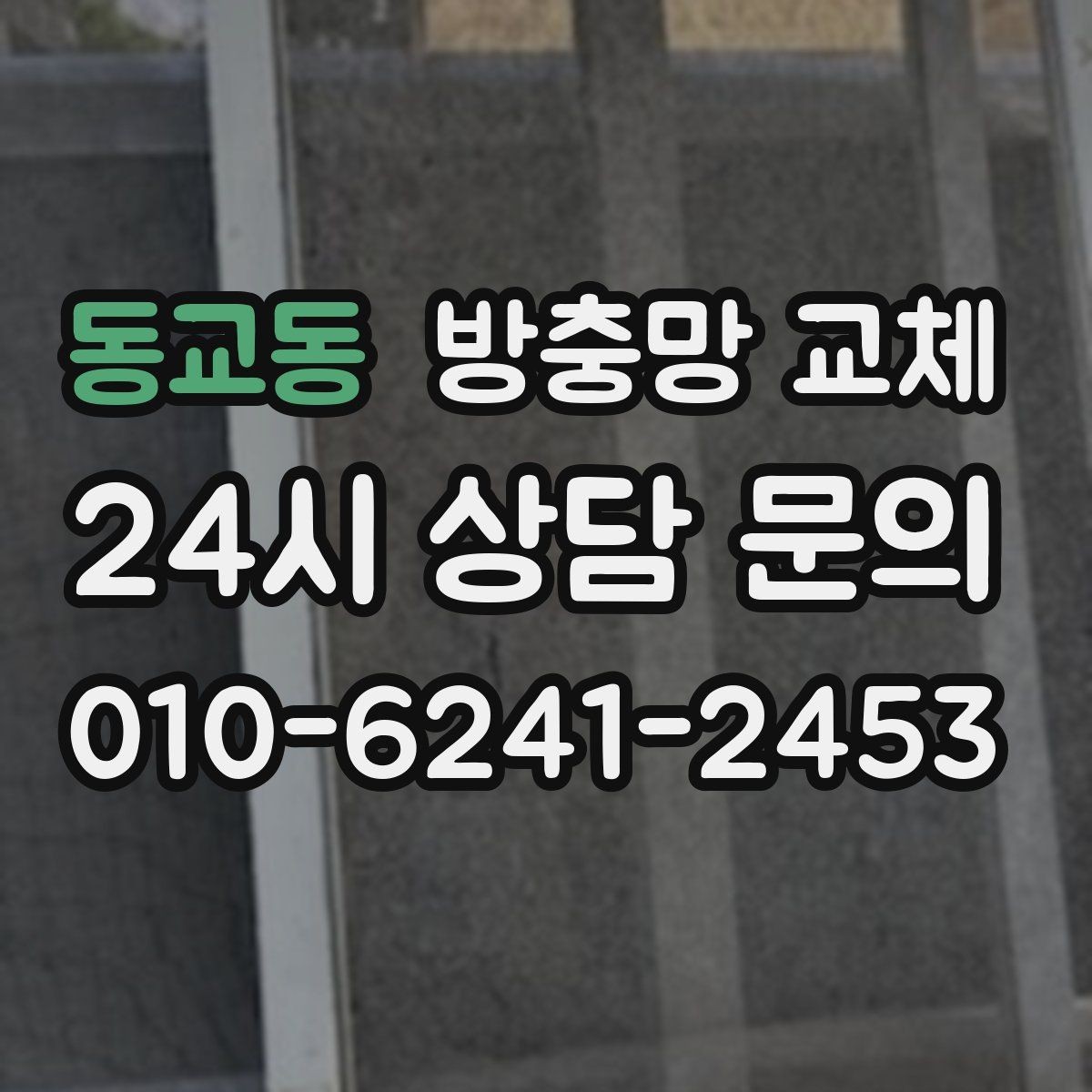 동교동 방충망 교체 거실 창부터 해야 하는 이유