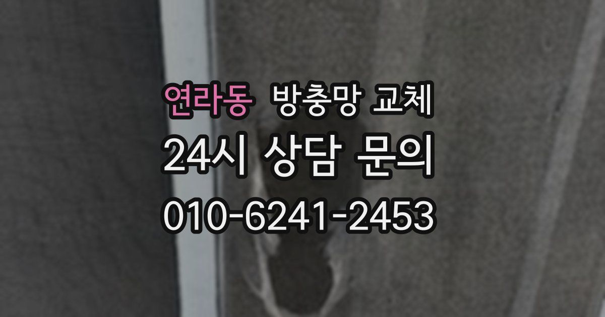 연라동 방충망 교체