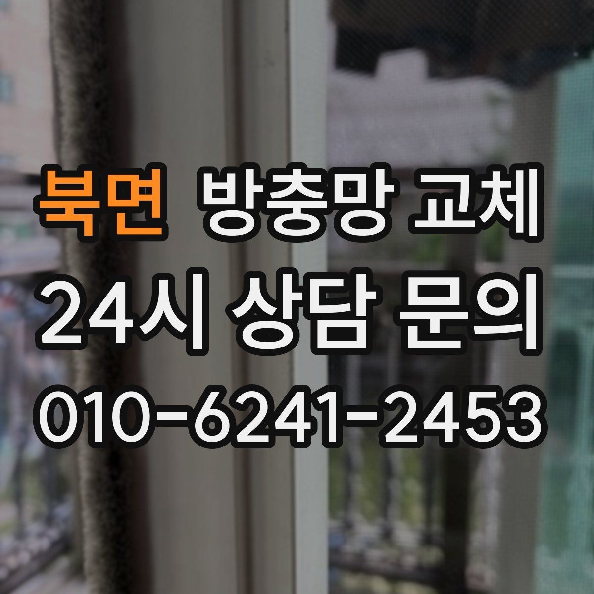북면 방충망 교체 촘촘망이 필요한 집의 특징