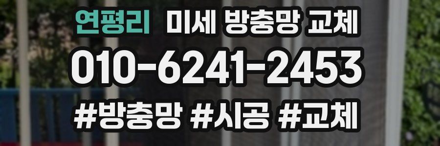 연평리 미세 방충망 교체