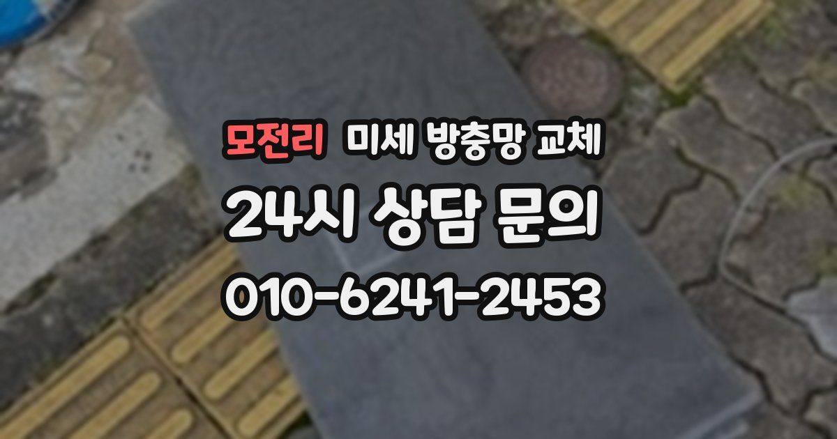 모전리 미세 방충망 교체