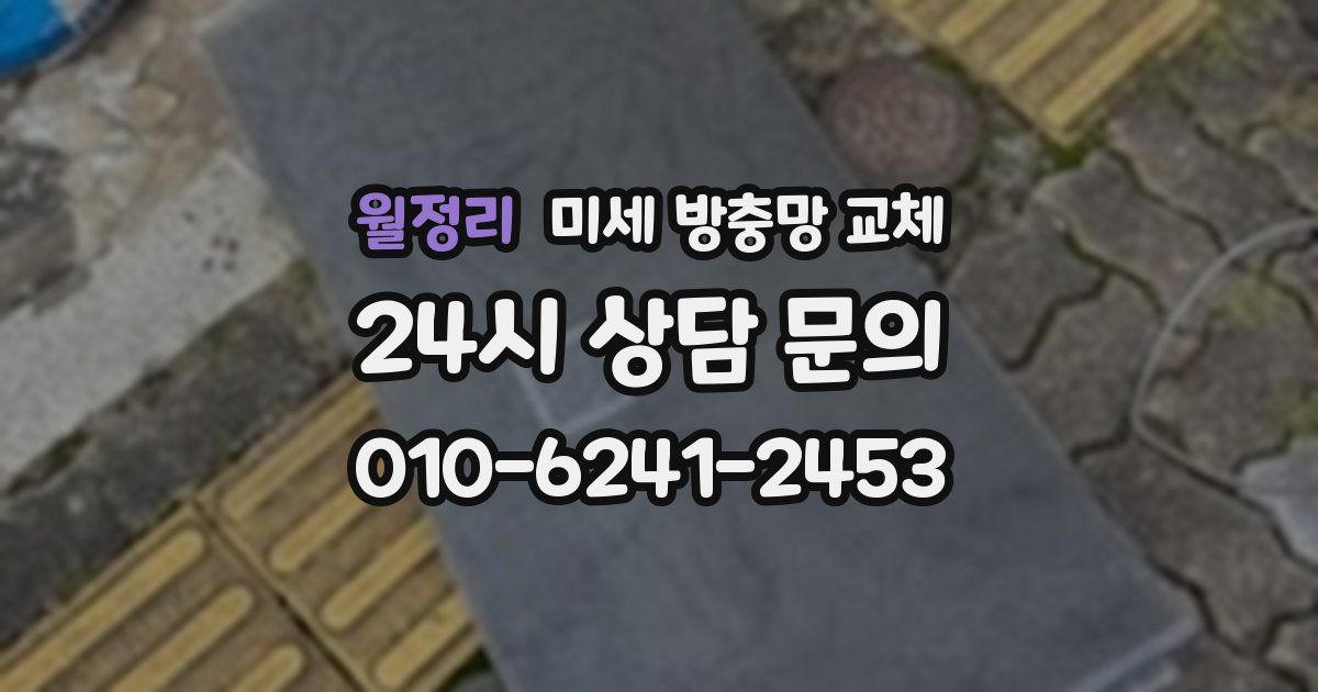 월정리 미세 방충망 교체