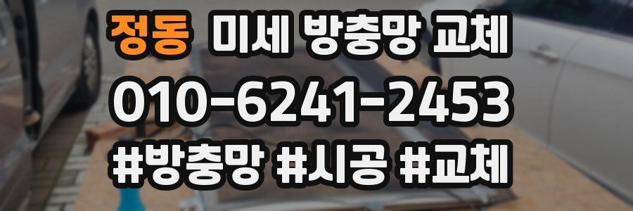 정동 미세 방충망 교체