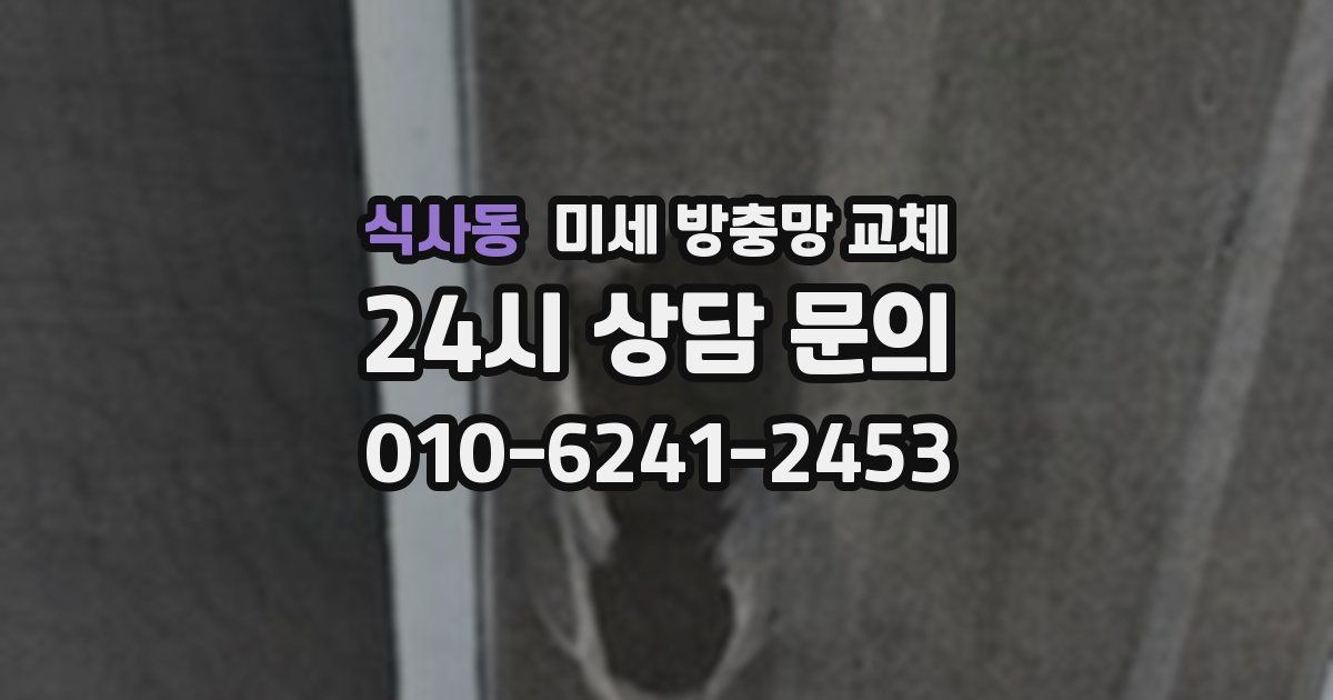 식사동 미세 방충망 교체