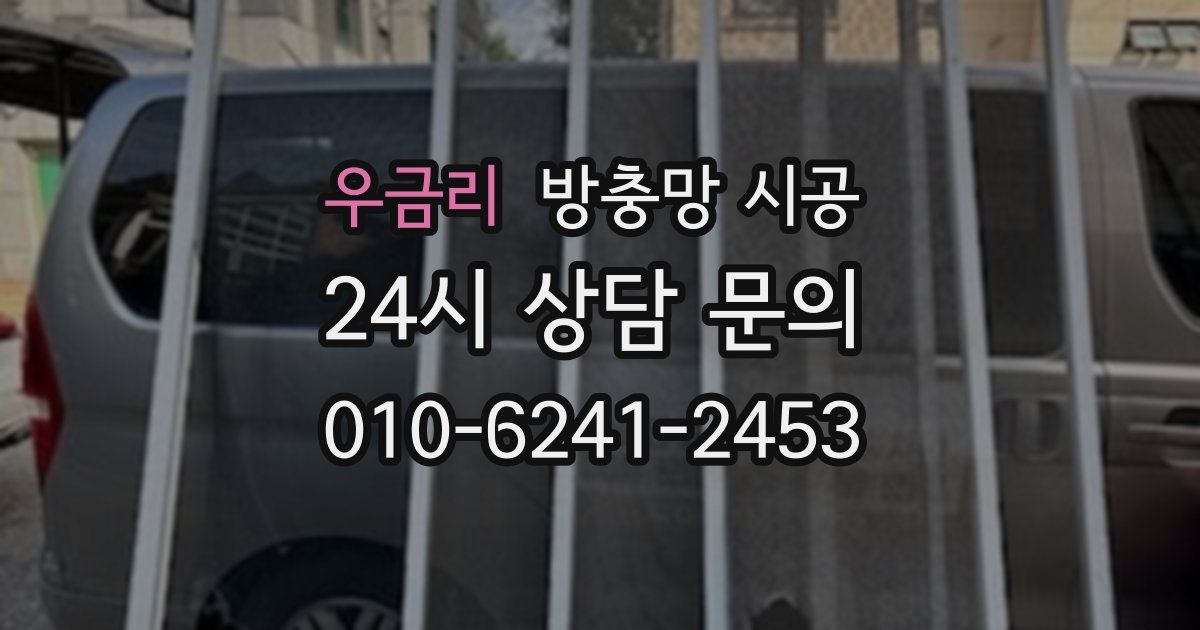 우금리 방충망 시공