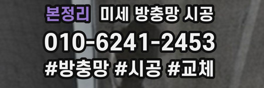 본정리 미세 방충망 시공