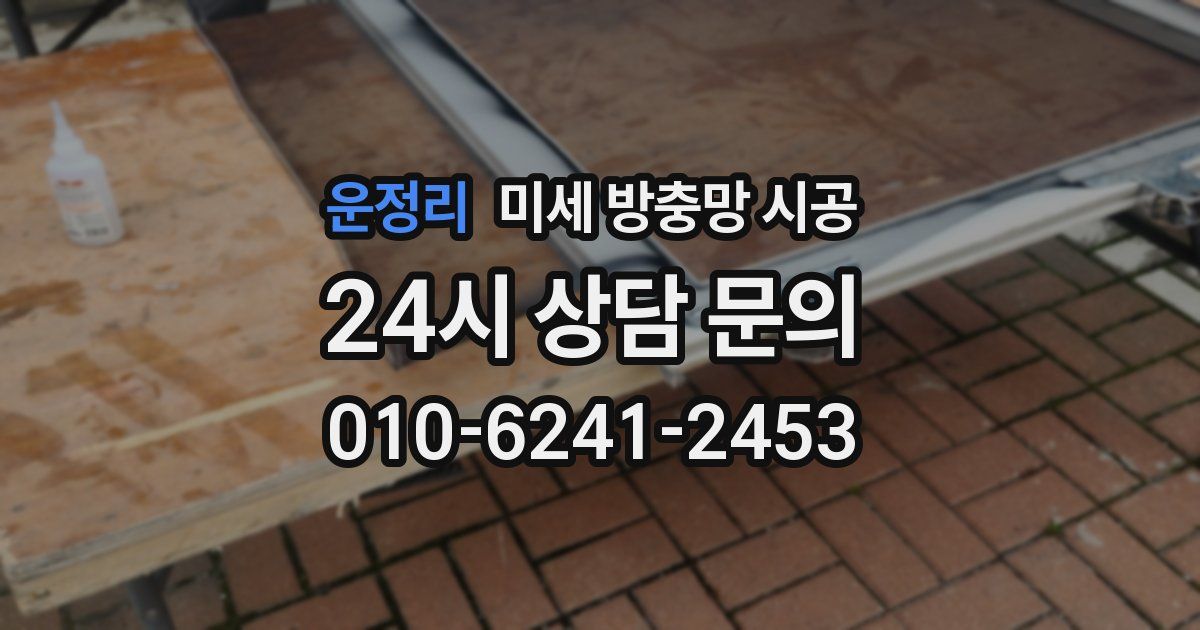 운정리 미세 방충망 시공