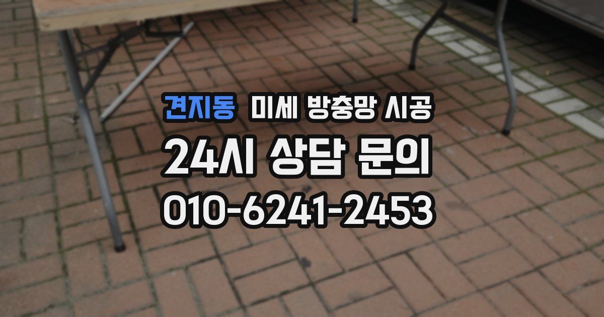 견지동 미세 방충망 시공