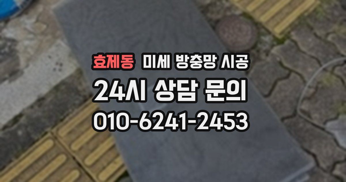 효제동 미세 방충망 시공