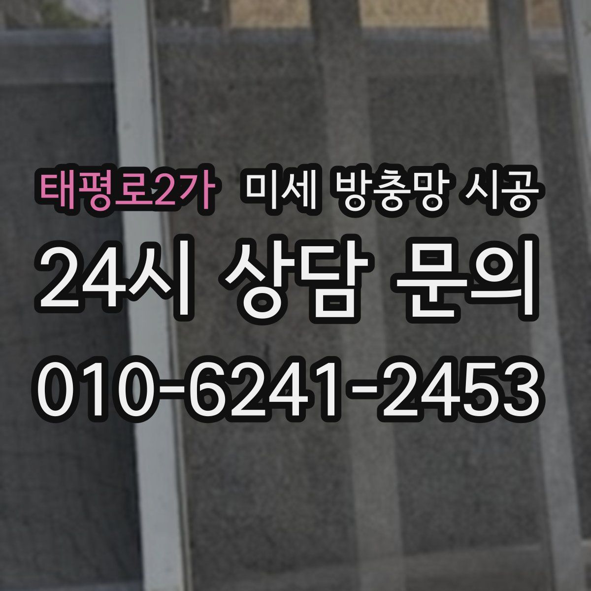 태평로2가 미세 방충망 시공