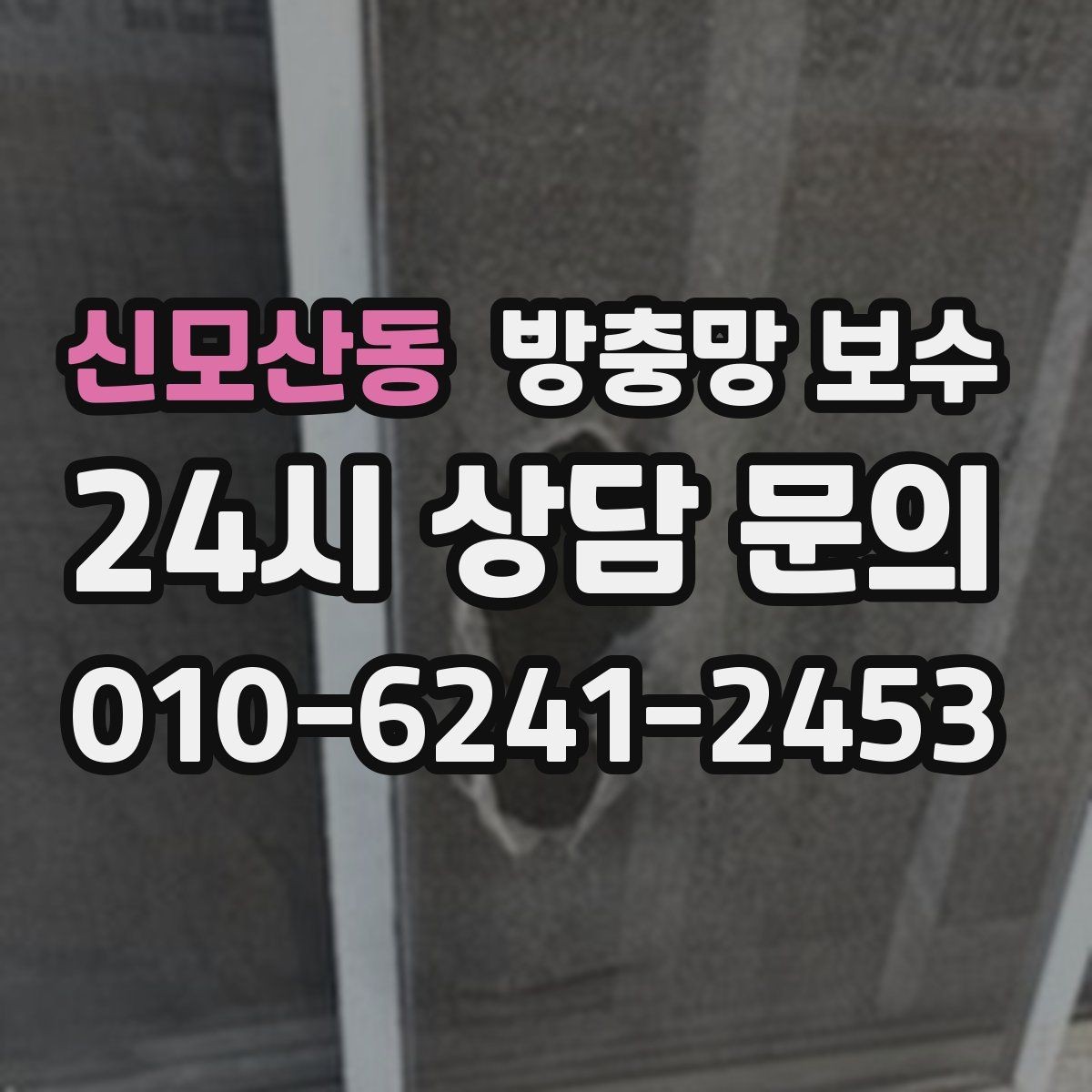 신모산동 방충망 보수 반려동물 있는 집에서 체크할 사항