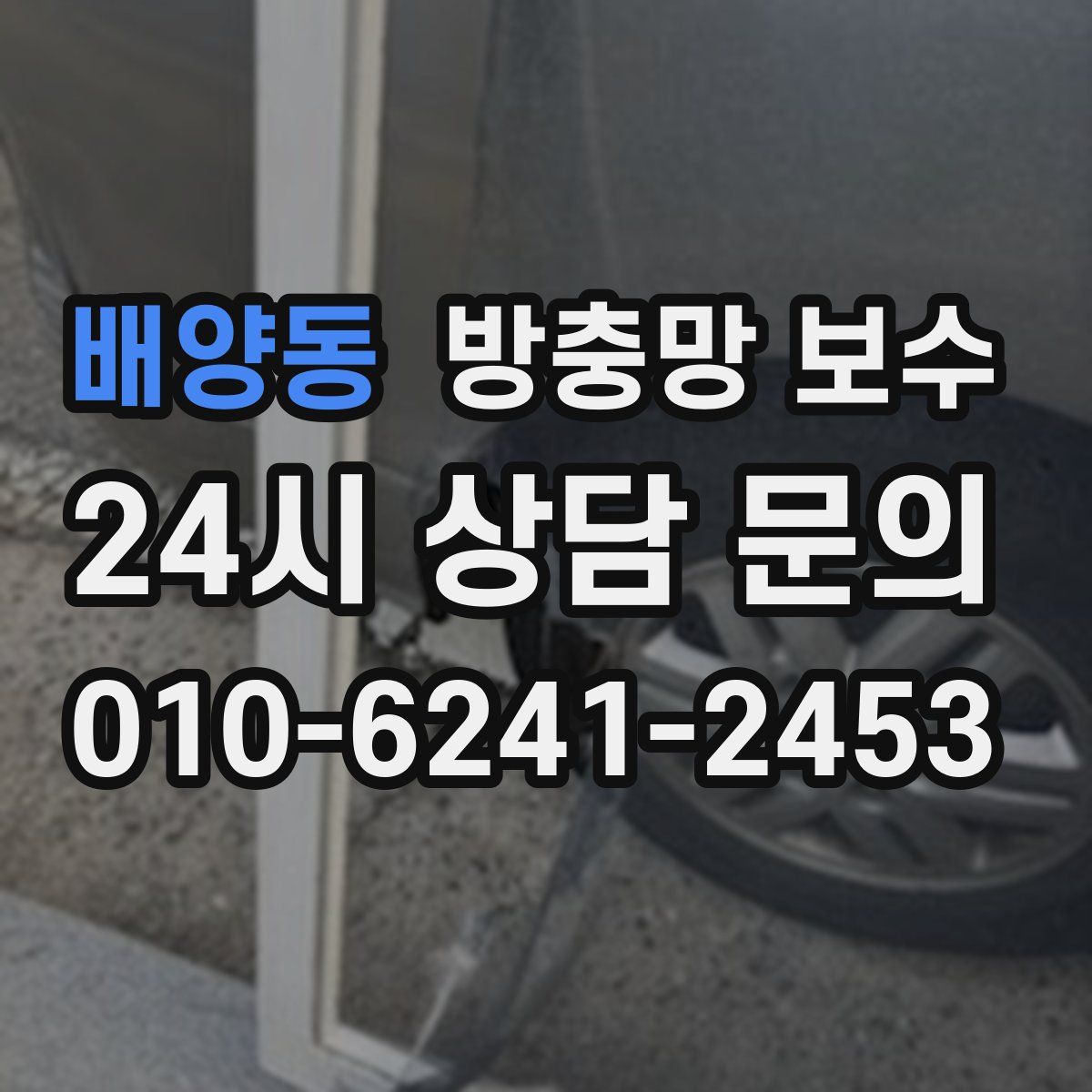 배양동 방충망 보수