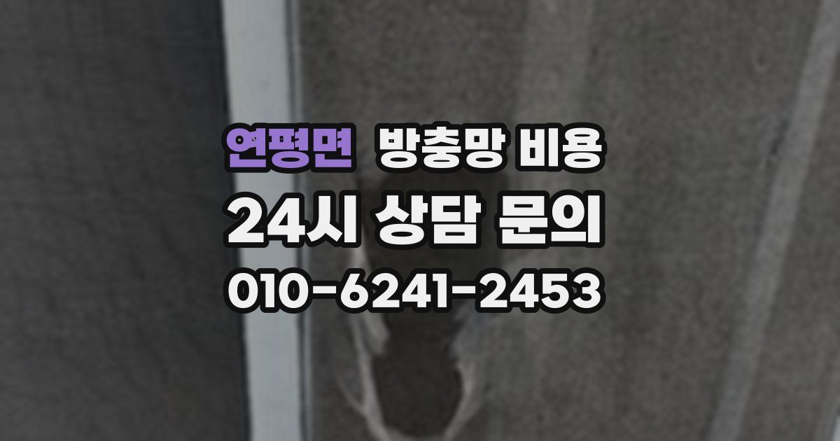 연평면 방충망 비용