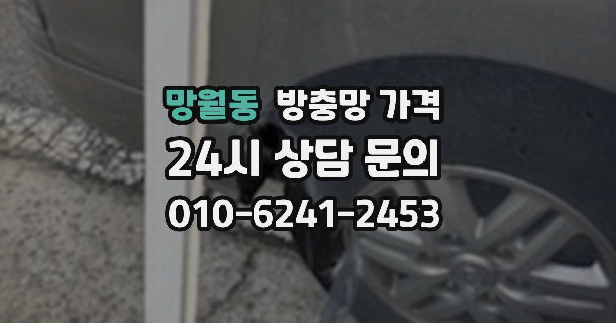 망월동 방충망 가격