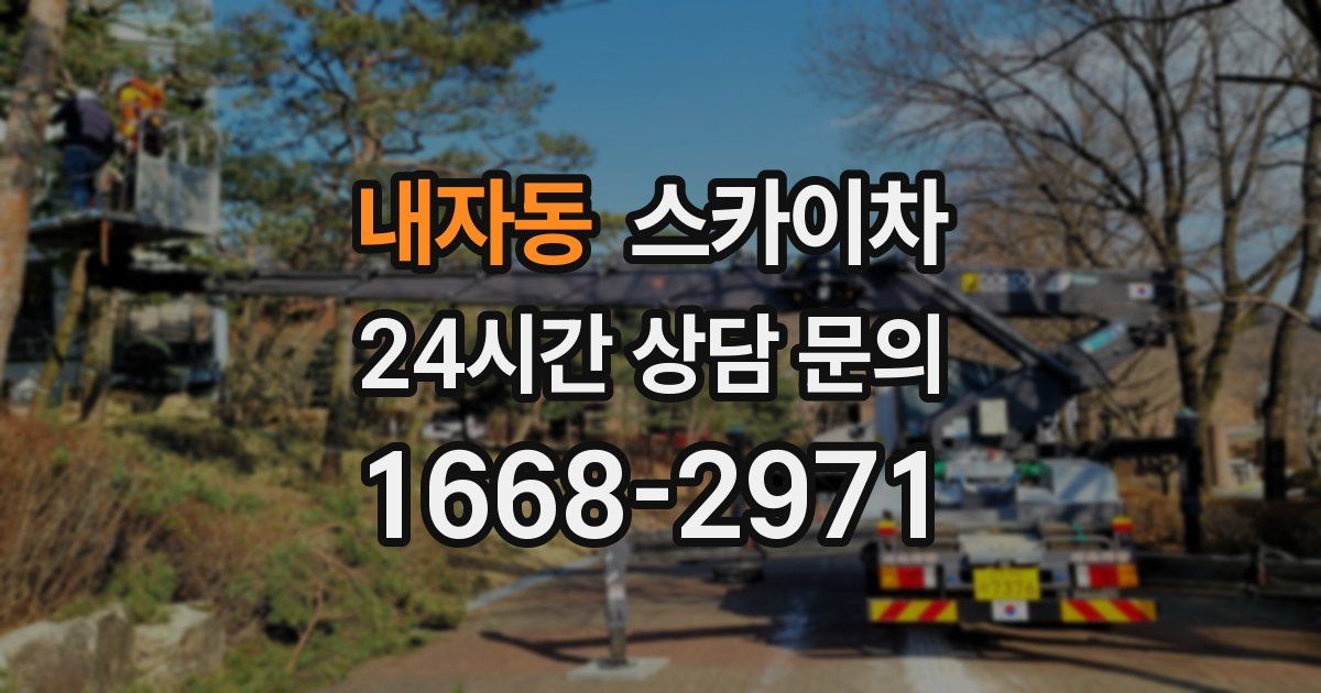 내자동 스카이차