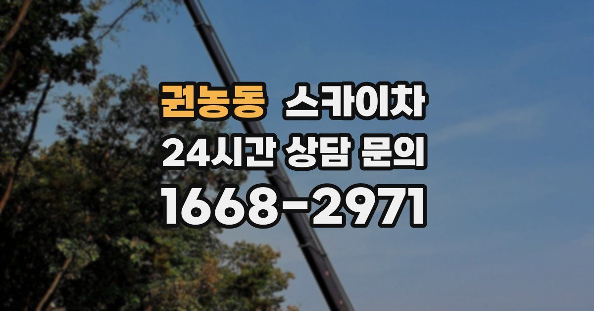 권농동 스카이차