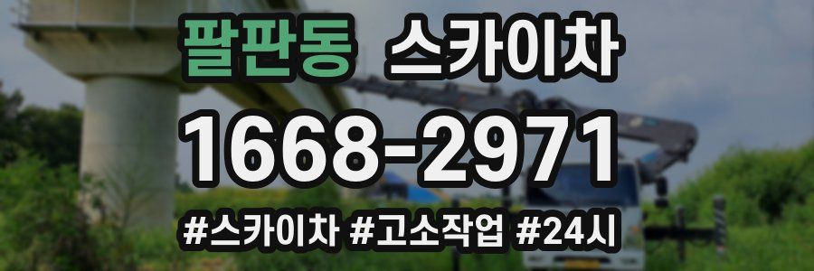 팔판동 스카이차