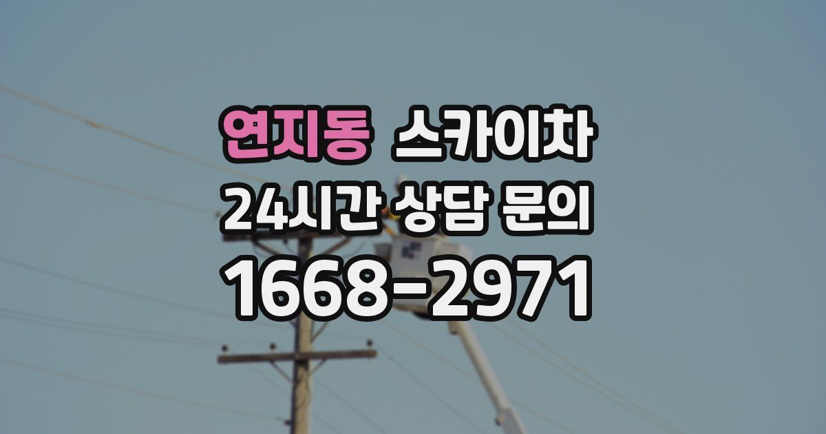 연지동 스카이차