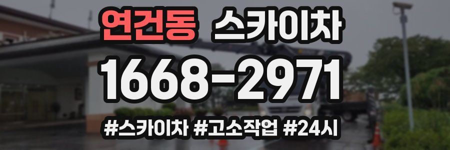 연건동 스카이차