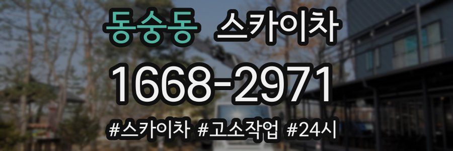 동숭동 스카이차