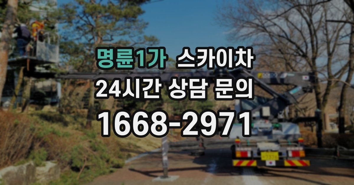 명륜1가 스카이차