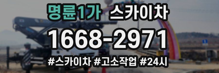 명륜1가 스카이차