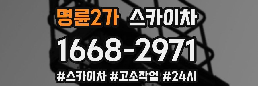 명륜2가 스카이차