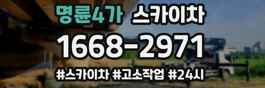 명륜4가 스카이차