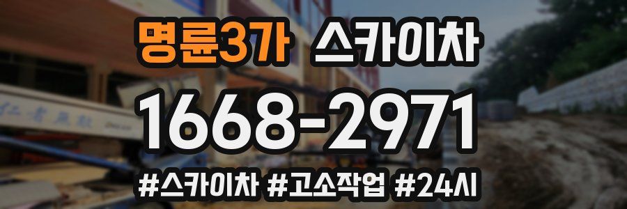 명륜3가 스카이차