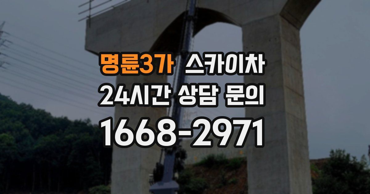 명륜3가 스카이차