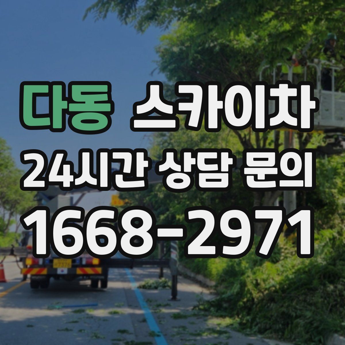다동 스카이차 간판 재설치 전 위치 재확인 팁