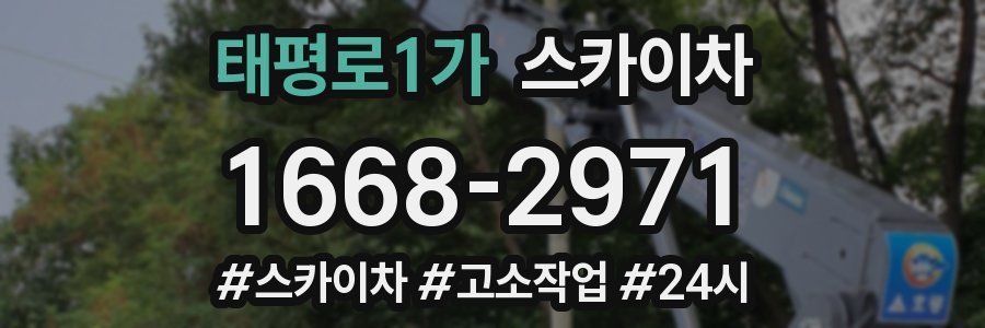 태평로1가 스카이차