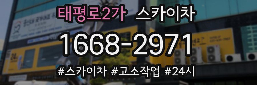 태평로2가 스카이차
