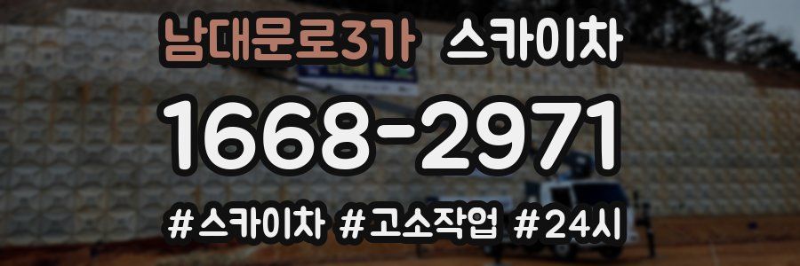 남대문로3가 스카이차