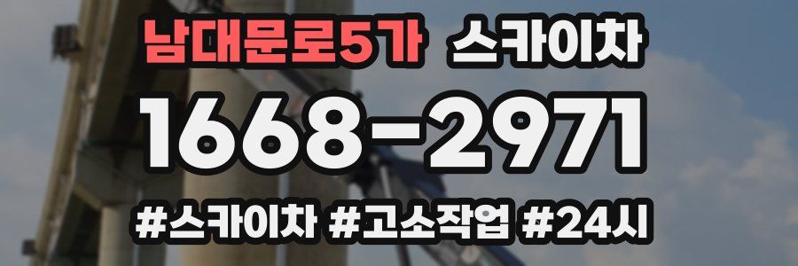 남대문로5가 스카이차