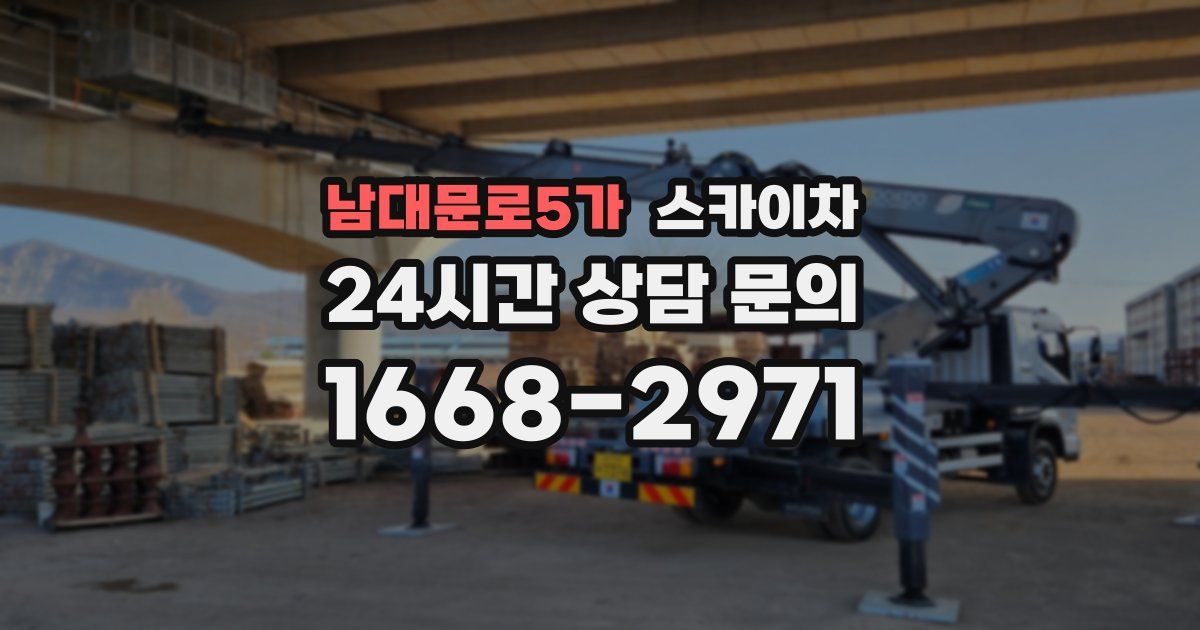 남대문로5가 스카이차