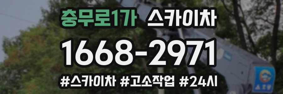 충무로1가 스카이차