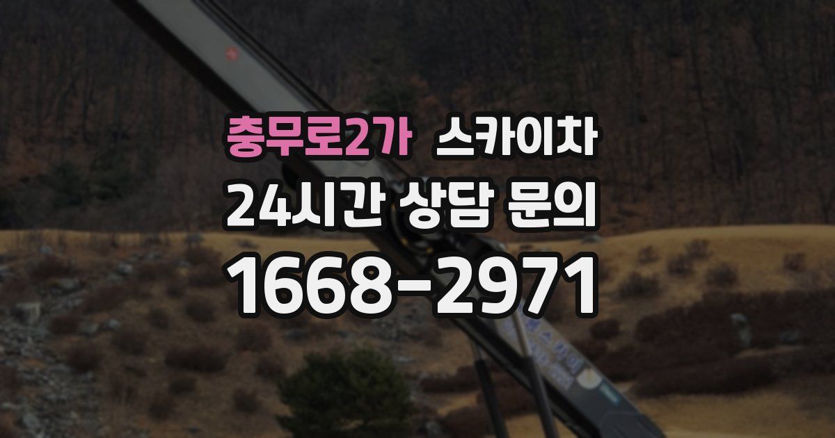 충무로2가 스카이차
