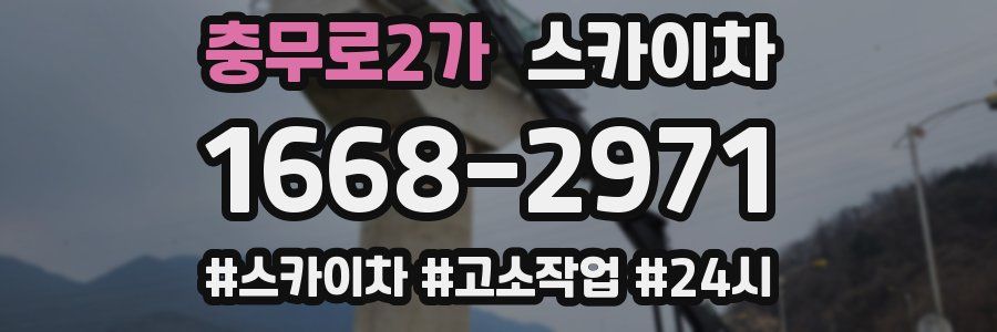 충무로2가 스카이차