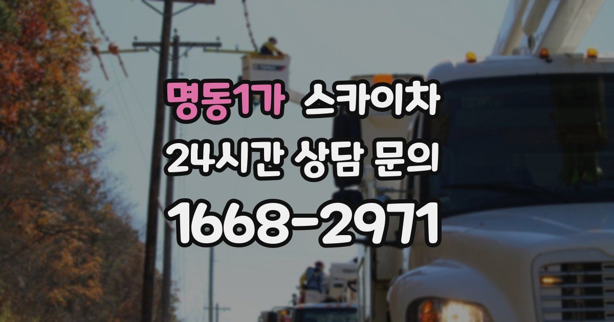 명동1가 스카이차