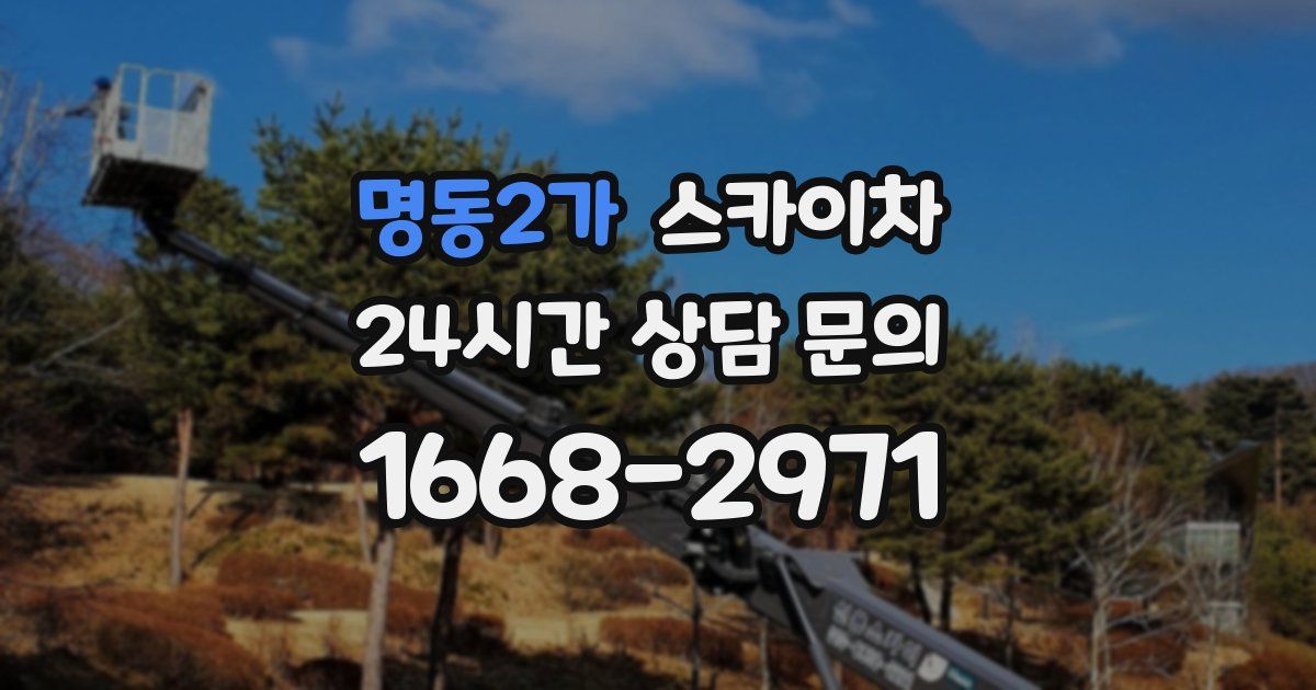 명동2가 스카이차